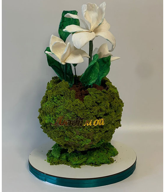 Торт «Сосуд с цветами»